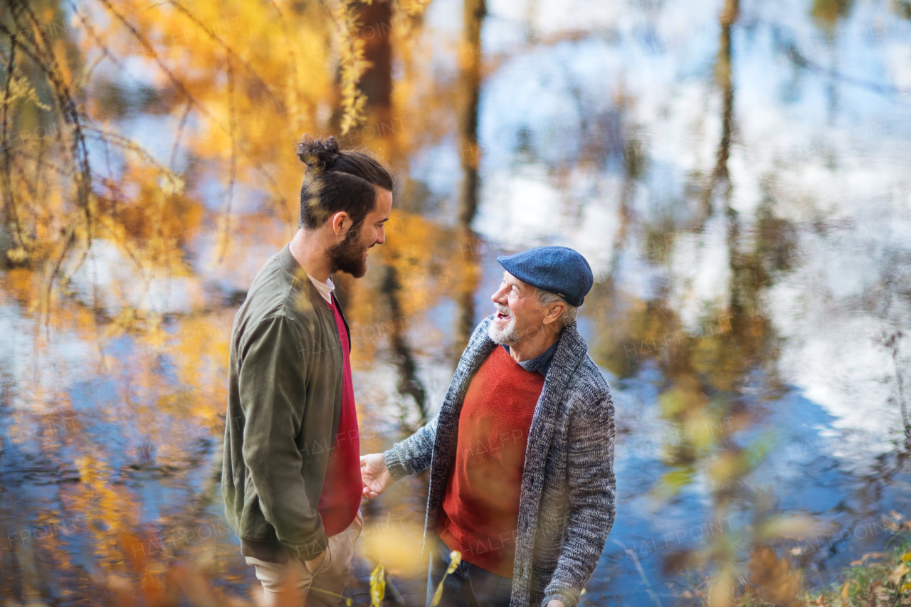 A high angle view of senior father and his son standing in nature, talking.