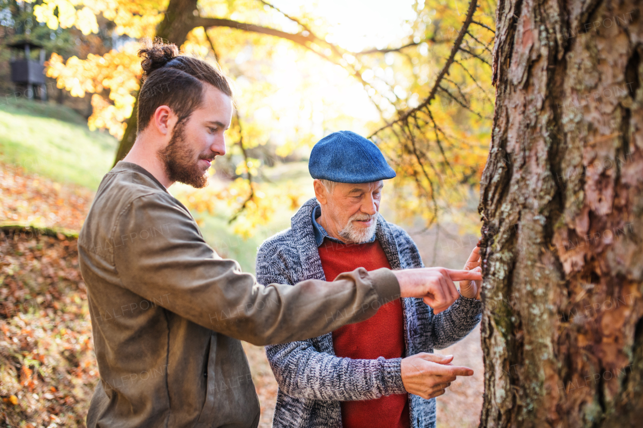 Senior father and his young son walking in nature, talking.