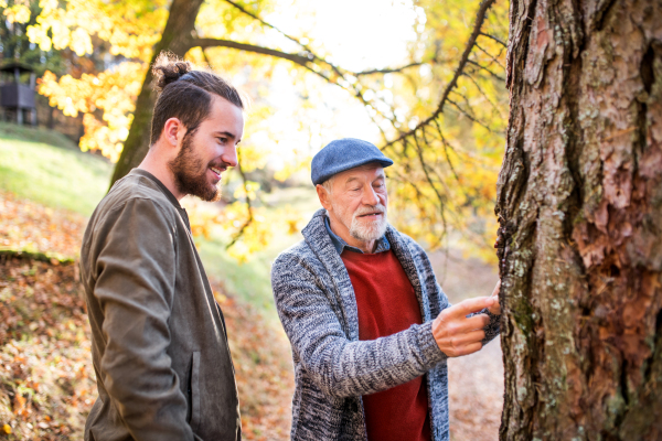 Senior father and his young son looking at tree in nature, talking.