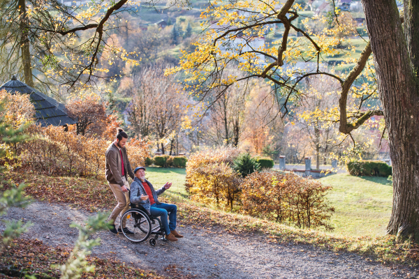 A senior father with wheelchair and his son on walk in nature.