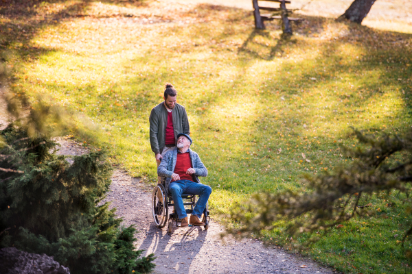 A senior father with wheelchair and his son on walk in nature.