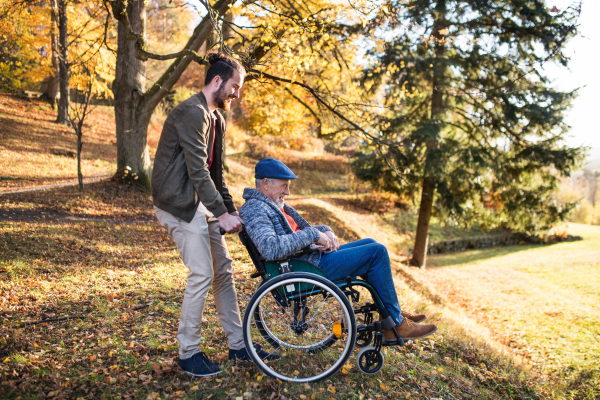 A senior father with wheelchair and his son on walk in nature.