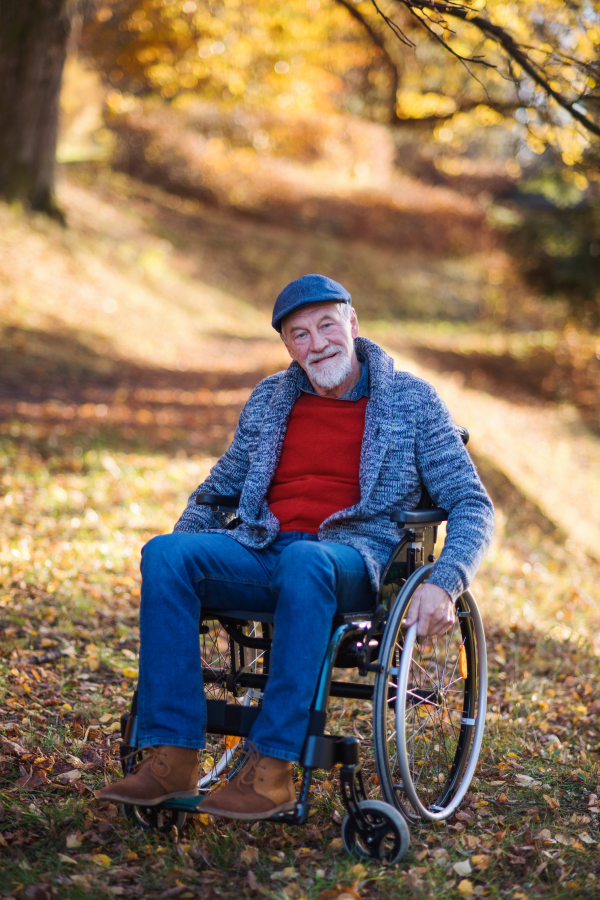 Senior man with wheelchair on walk in autumn nature, looking at camera.