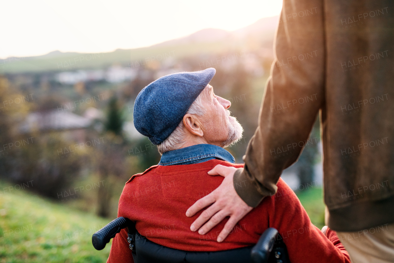 A senior father with wheelchair and his son on walk in nature, talking.