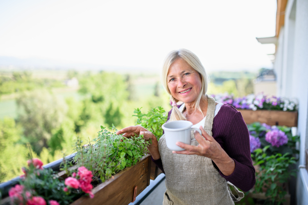 Portrait of senior woman with coffee gardening on balcony in summer, looking at camera.