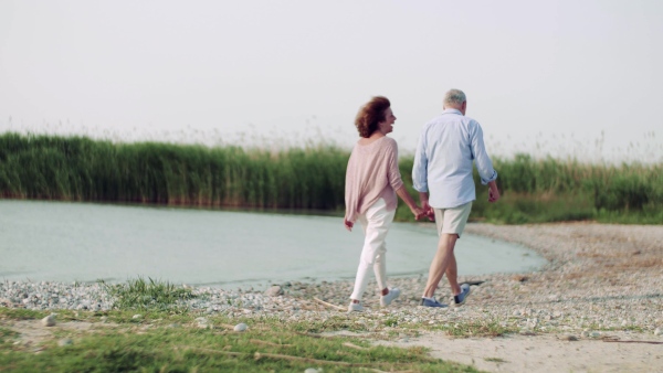 A rear view of senior couple on a holiday on a walk by the lake, walking.