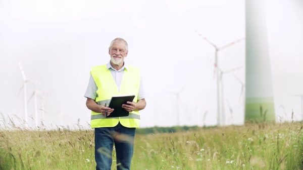 An engineer standing on a field on wind farm, working. Slow motion.