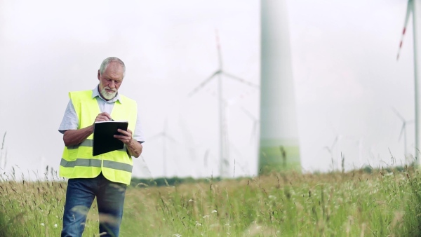 An engineer standing on a field on wind farm, working. Slow motion.