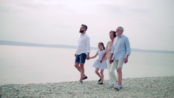 A multigeneration family on a holiday walking by the lake, holding hands. Slow motion.