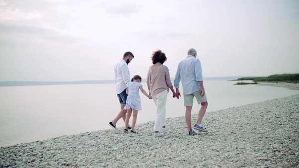 A rear view of multigeneration family on a holiday walking by the lake, holding hands. Slow motion.