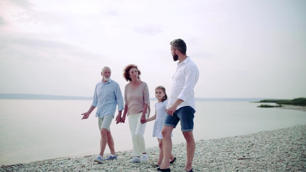 A multigeneration family on a holiday walking by the lake, holding hands. Slow motion.