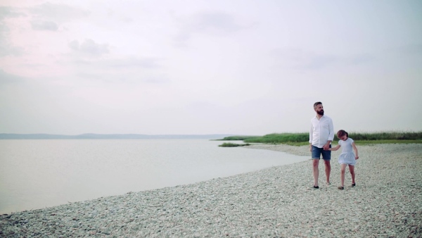 Mature father walking with small daughter on a holiday by the lake, holding hands. Slow motion.