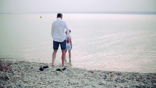 Rear view of father with small daughter on a holiday by the lake, walking in water. Slow motion.