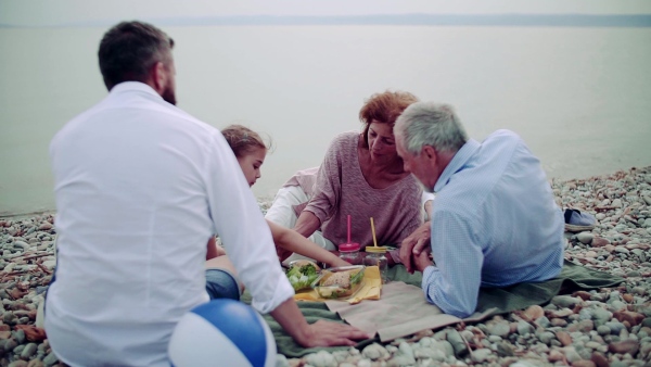 A multigeneration family on a holiday by the lake, having picnic. Slow motion.