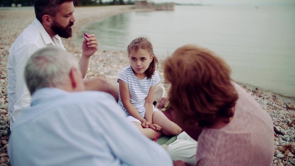 A multigeneration family on a holiday by the lake, having picnic. Slow motion.