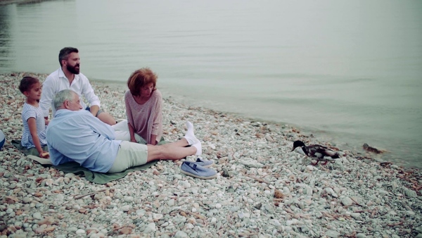 A multigeneration family on a holiday by the lake, having picnic. Slow motion.