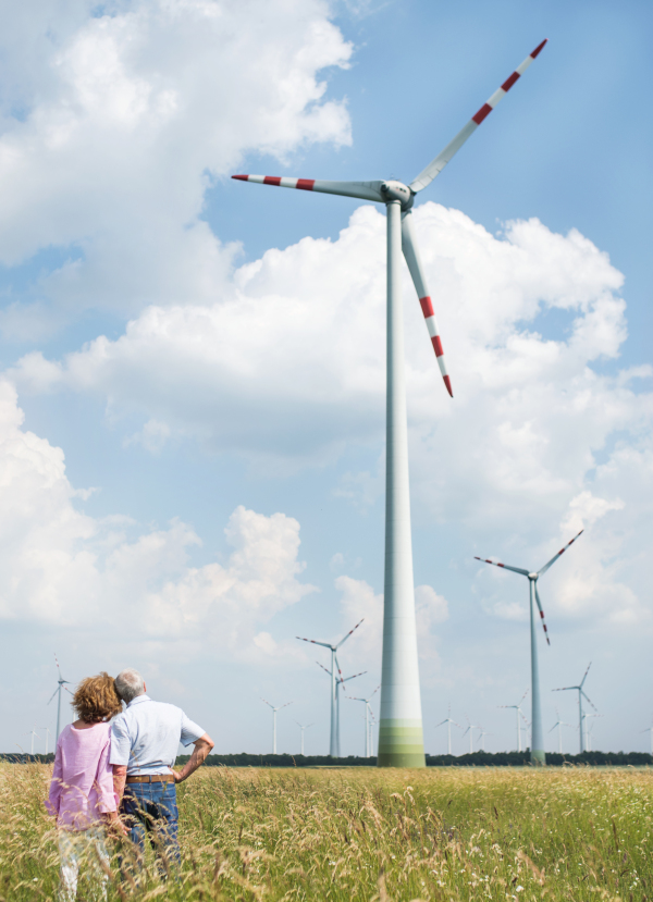 A rear view of senior couple walking on field on wind farm. Copy space.