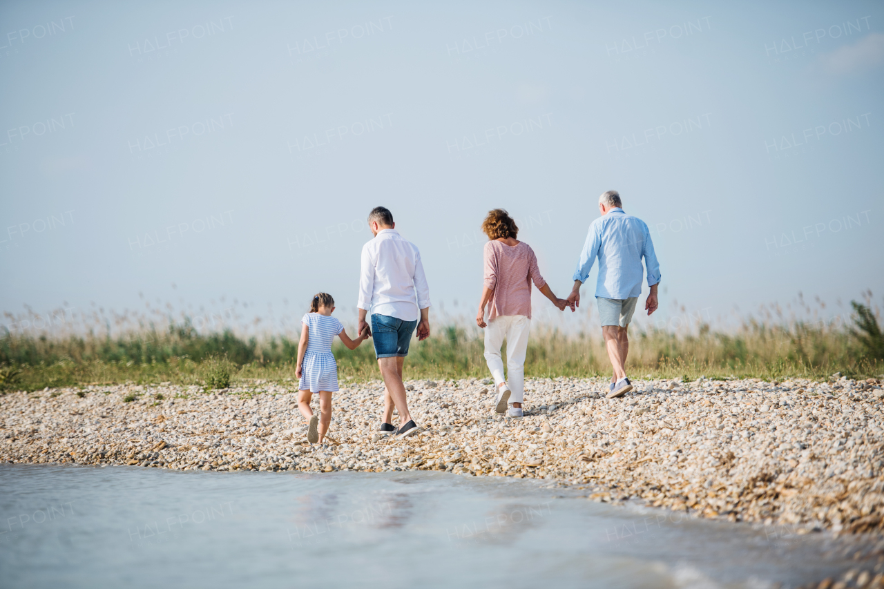 A rear view of multigeneration family on a holiday on walk by the lake, running.