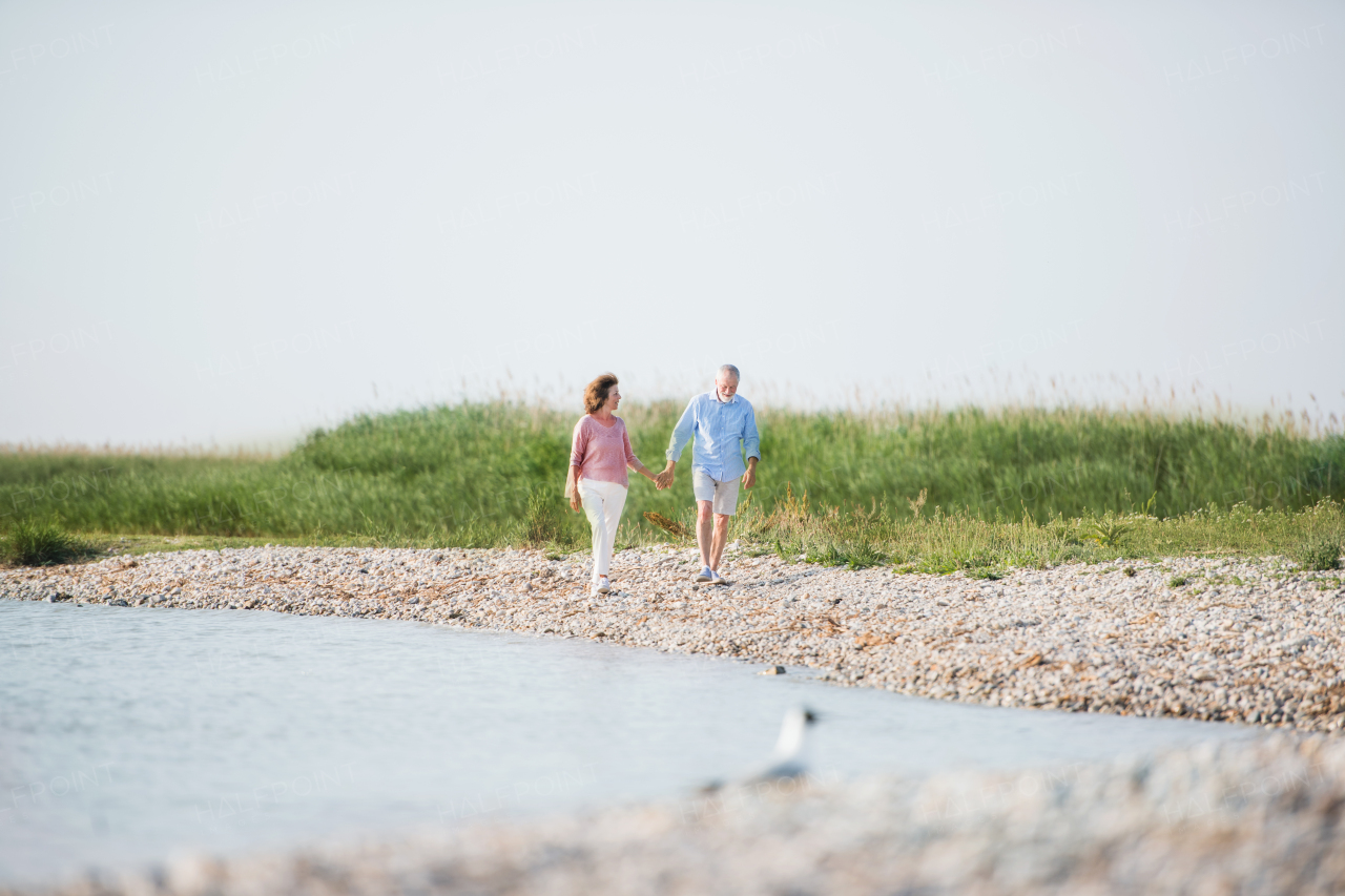 A senior couple on a holiday walking by the lake. Copy space.