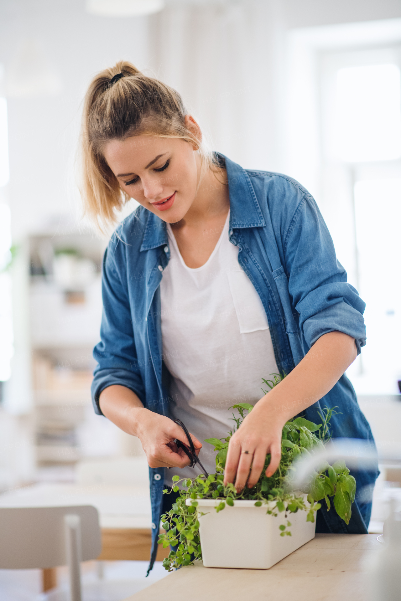 Front view portrait of young woman indoors at home, cutting herbs.