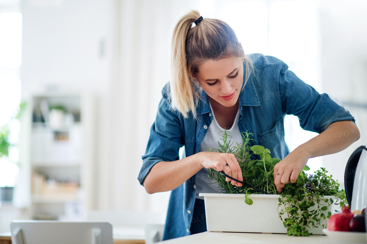 Front view portrait of young woman indoors at home, cutting herbs.