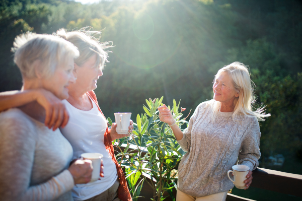 Group of senior women friends standing outdoors on terrace, talking.