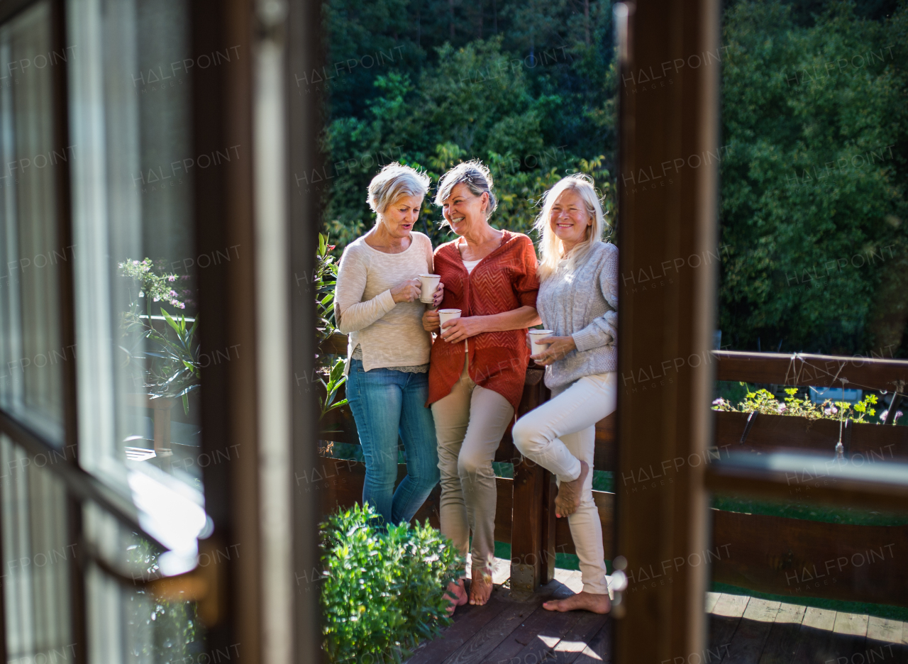 Group of senior women friends standing outdoors on terrace, resting.