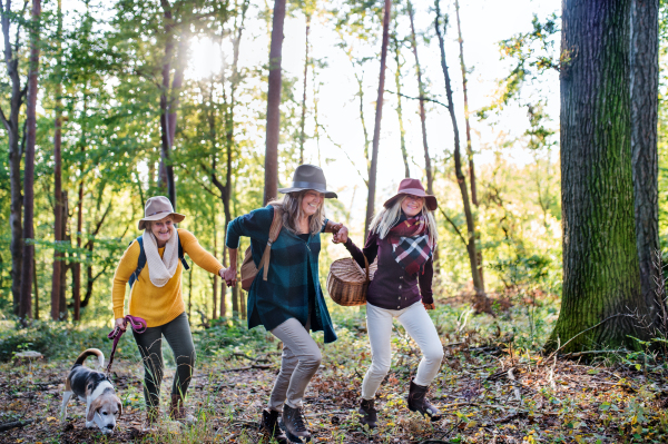 Senior women friends with dog on walk outdoors in forest, running.