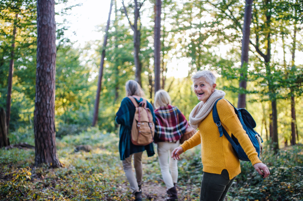 Senior women friends with basket walking outdoors in forest.