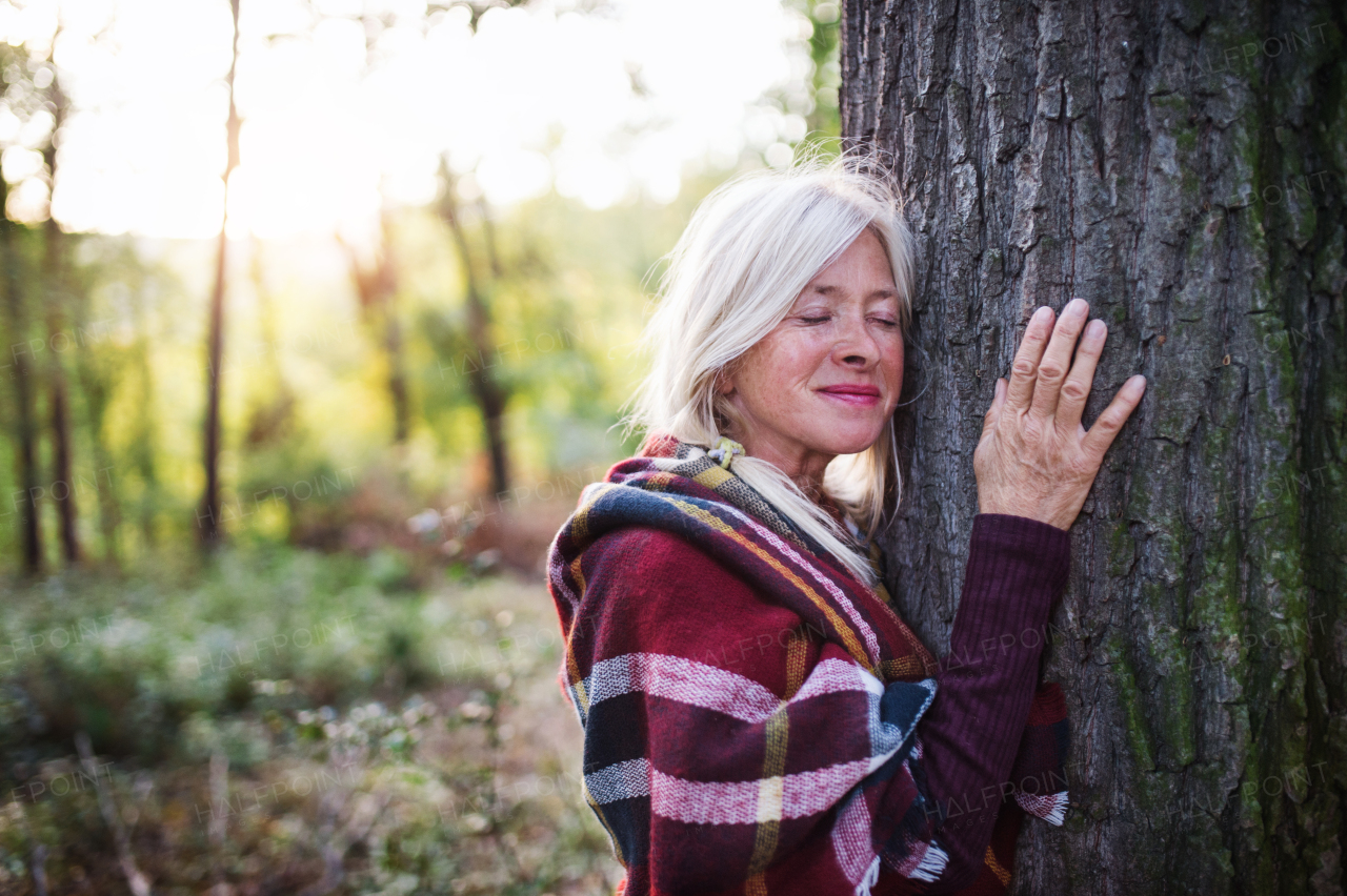 Active senior woman on a walk in a beautiful autumn forest, hugging tree.