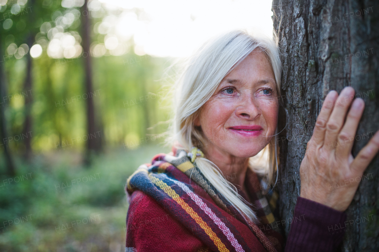 Active senior woman on a walk in a beautiful autumn forest. Tree hugger.