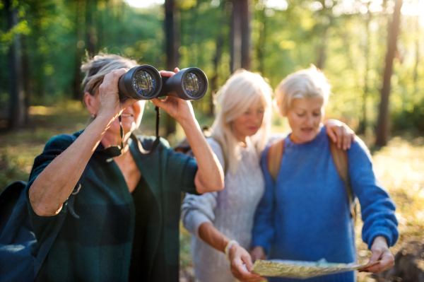 Senior women friends on a walk outdoors in forest, using map and binoculars.