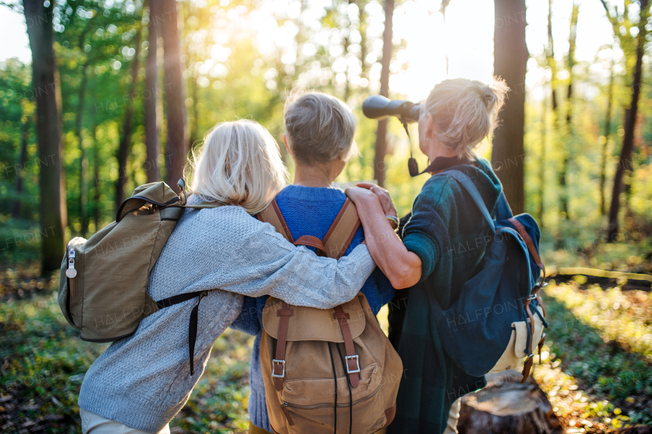 A rear view of senior women friends outdoors in forest, using binoculars.