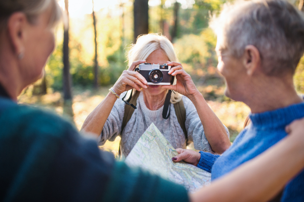 Happy senior women friends walking outdoors in forest, taking photos with camera.