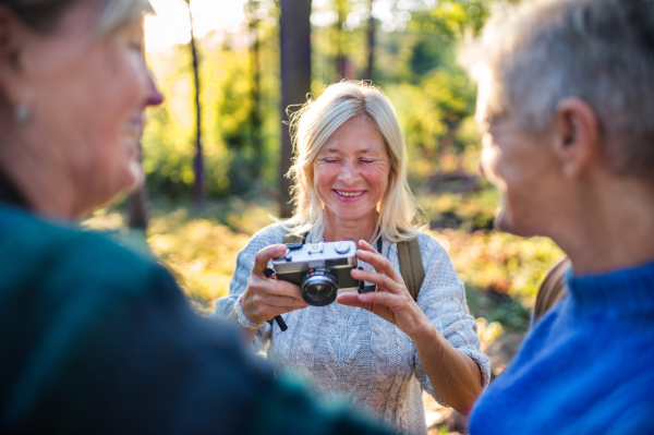 Happy senior women friends walking outdoors in forest, taking photos with camera.