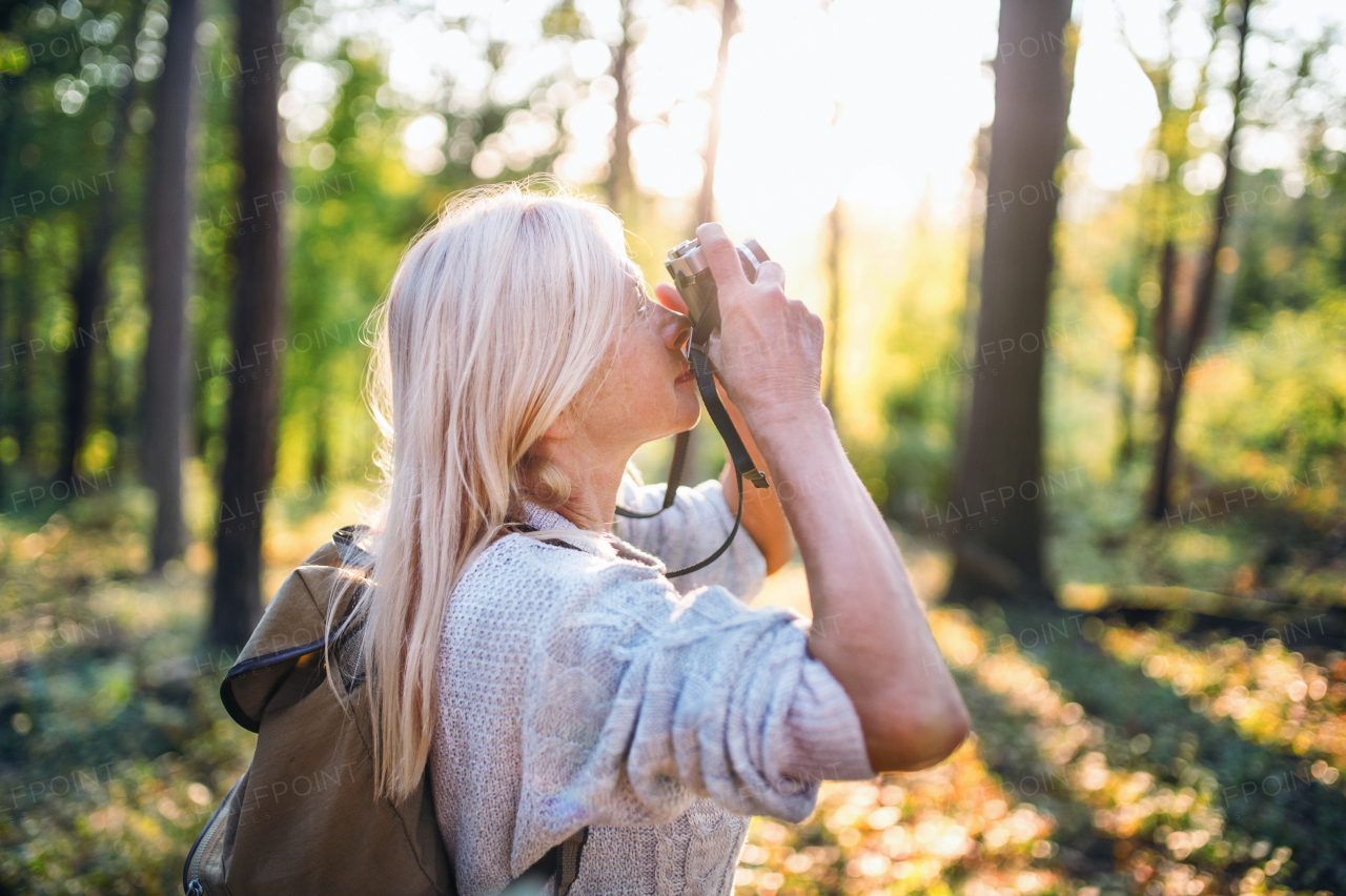 Senior woman on a walk outdoors in forest, taking photos with camera.