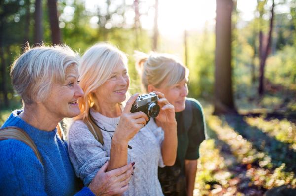 Senior women friends walking outdoors in forest, taking photos with camera. Copy space.