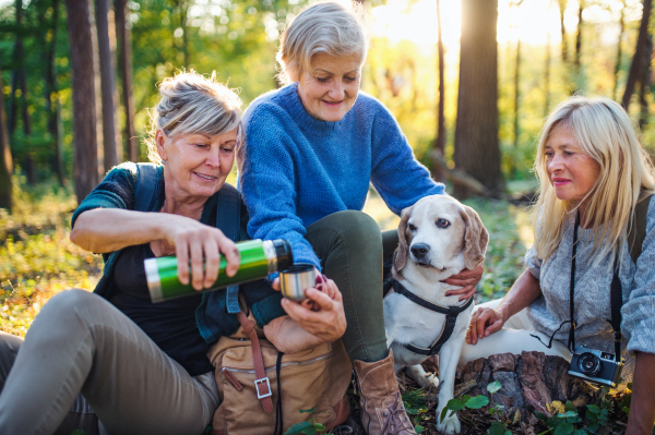 Senior women friends with dog on walk outdoors in forest, drinking.