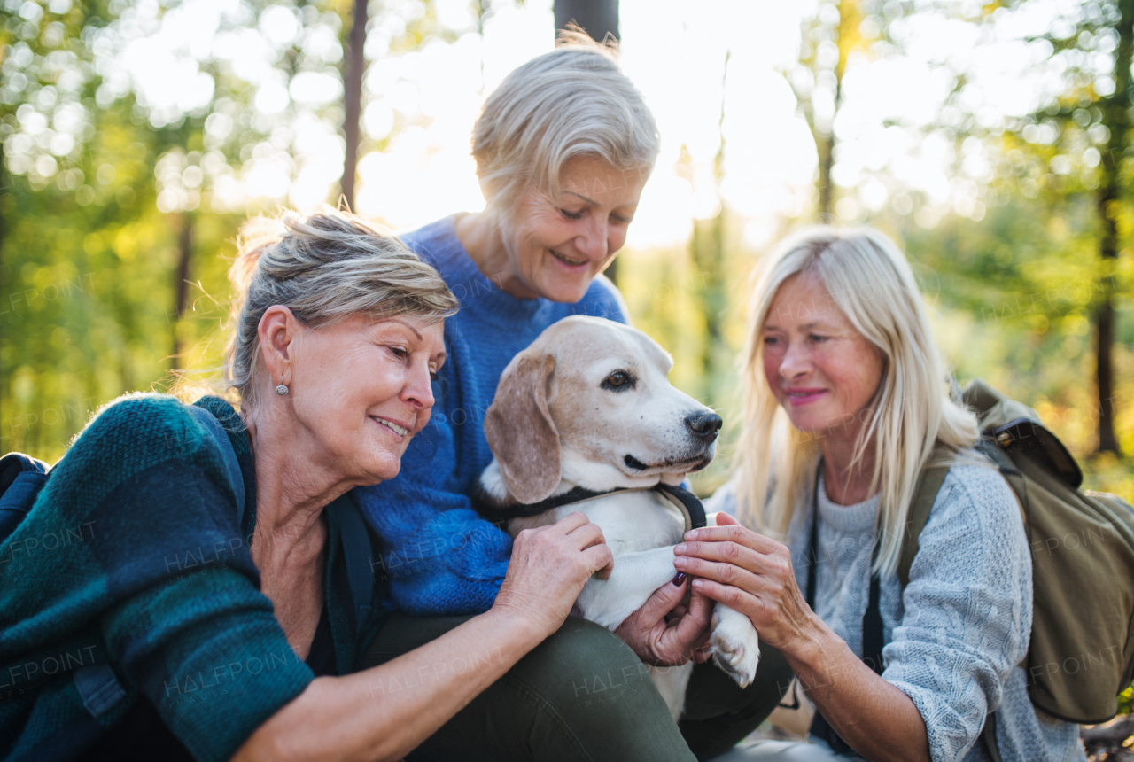 Senior women friends with dog on walk outdoors in forest, resting.