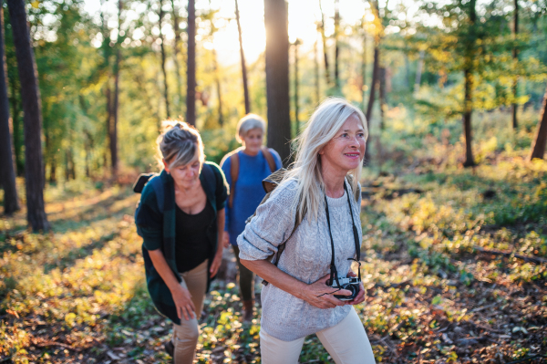 Senior women friends on a walk outdoors in forest, walking.