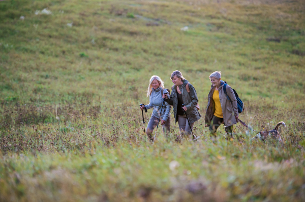 Senior women friends with dog on walk outdoors in nature, walking.