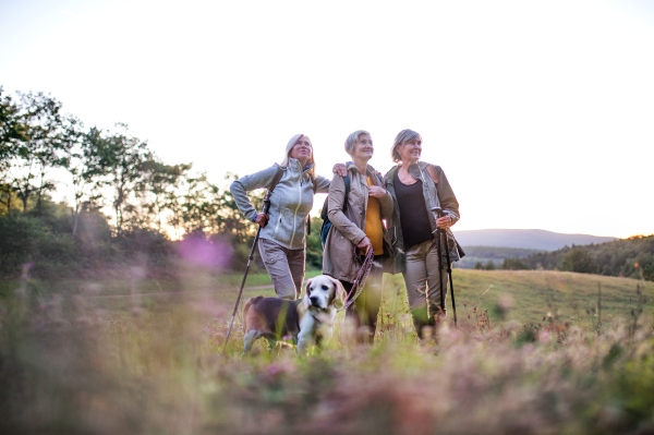 Senior women friends with dog on walk outdoors in nature, standing.