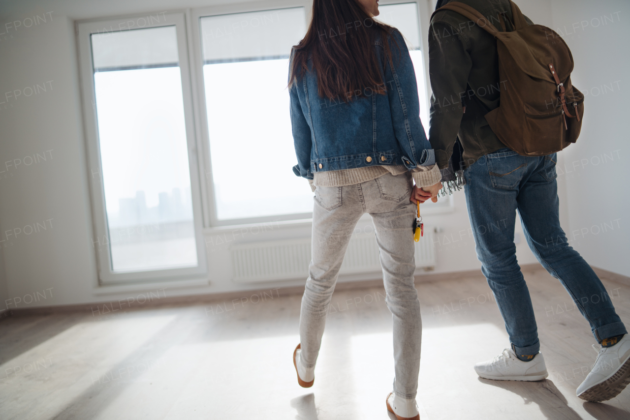 A rear view of unrecognizable young couple owners holding hands in new flat, moving in.