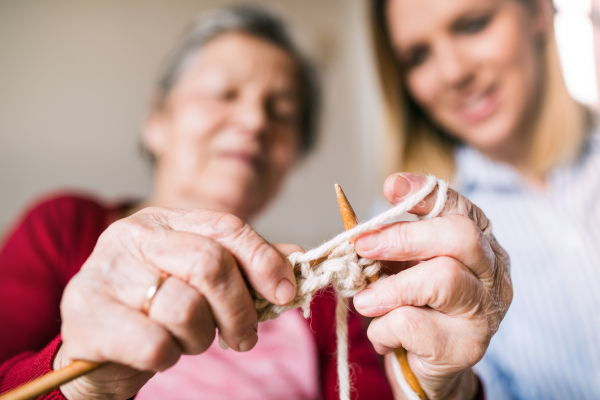 An elderly grandmother and adult granddaughter at home, knitting.