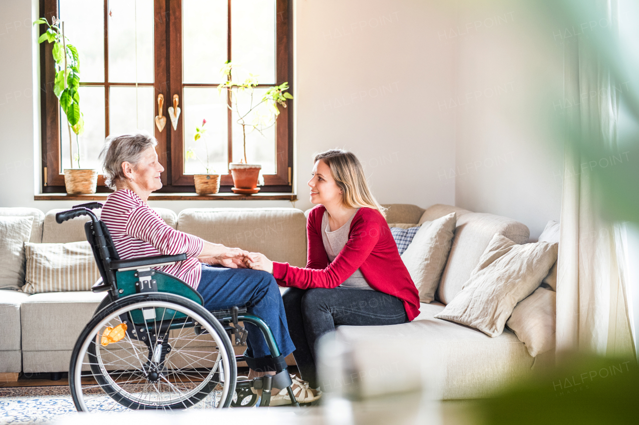 An elderly grandmother in wheelchair with an adult granddaughter sitting on the sofa at home.