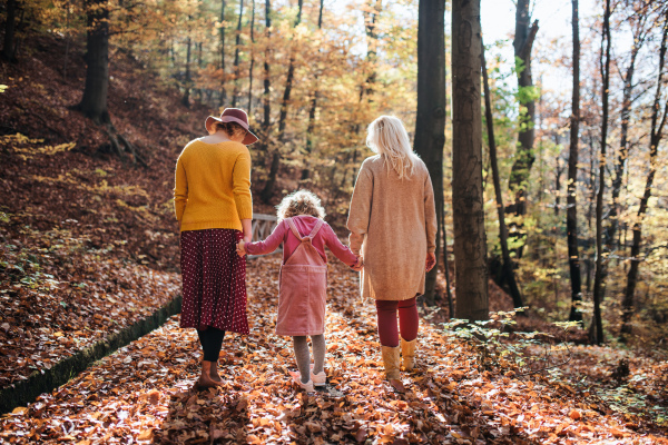 Rear view of small girl with mother and grandmother on a walk in autumn forest, holding hands.