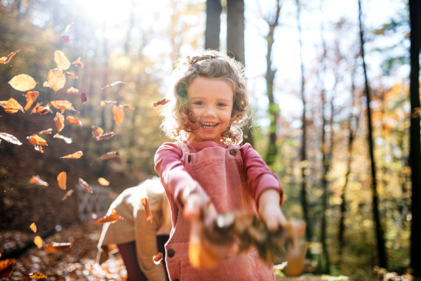 Small girl with unrecognizable mother on a walk in autumn forest, throwing leaves.