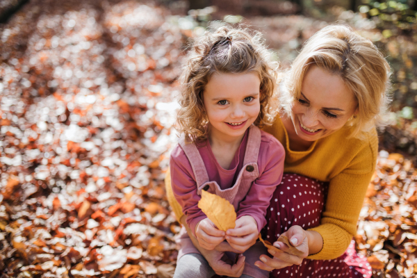 Top view of small girl with mother on a walk in autumn forest, resting.