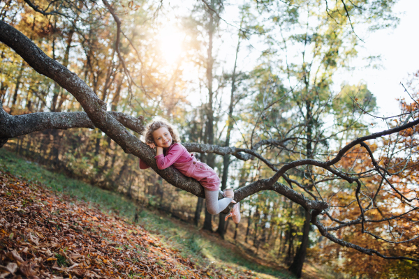 Portrait of small girl lying on tree branch in autumn forest, having fun.