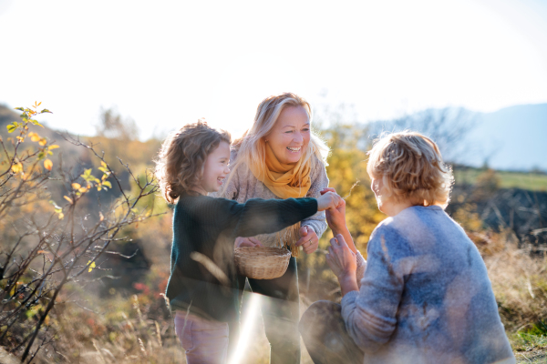 Happy small girl with mother and grandmother collecting rosehip fruit in autumn nature.